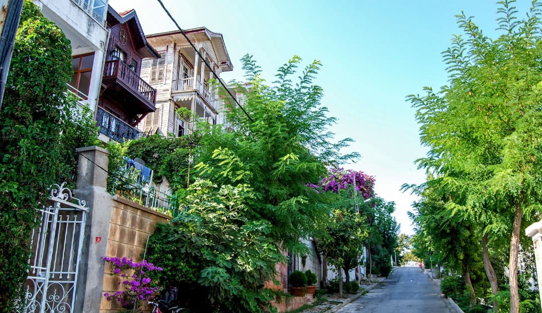 Istanbul Full Day Princes Islands Tour - Büyükada, Kınalıada Including Lunch and Transfer 2
