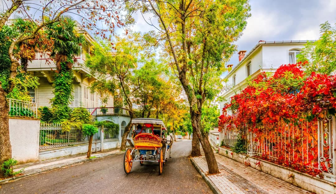 Istanbul Full Day Princes Islands Tour - Büyükada, Kınalıada Including Lunch and Transfer 3